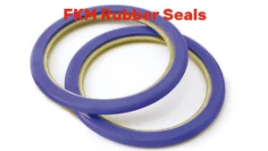 Fkm rubber seals